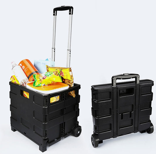 Car trunc organizer with wheels