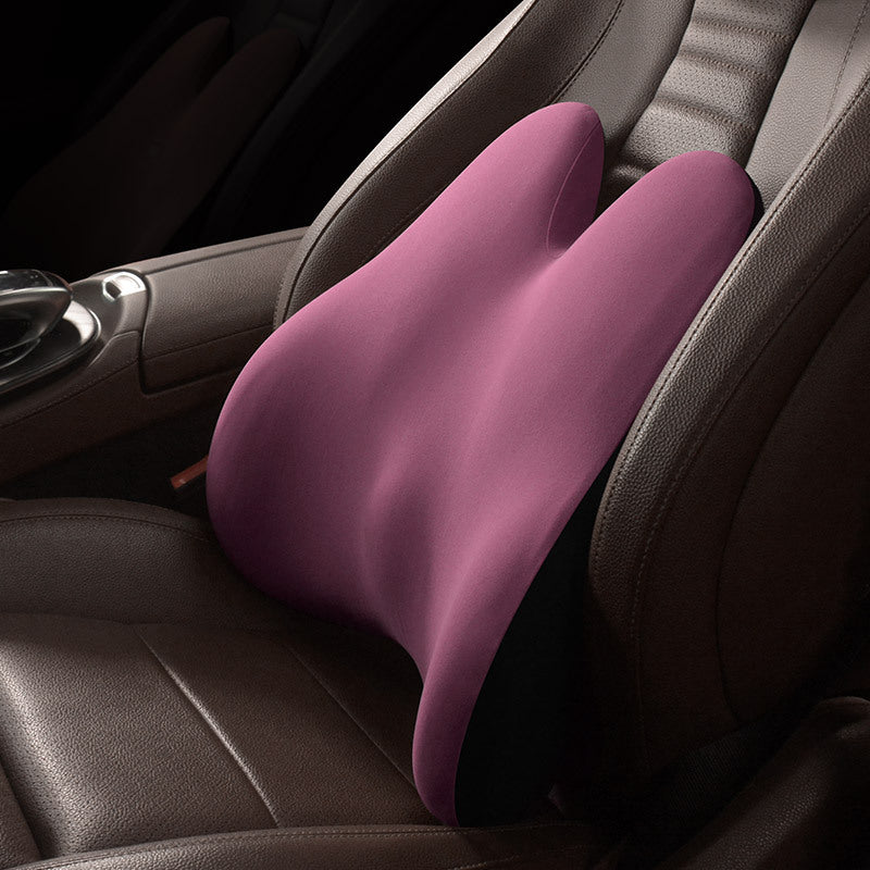 Back support pillow