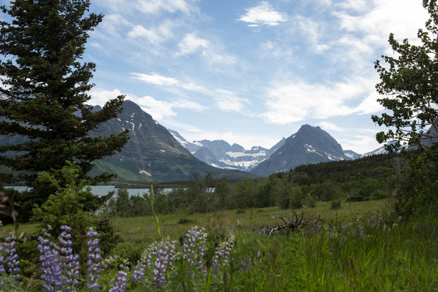 <h2><strong>HAPPY AGAIN AMONG NATURE</strong></h2>